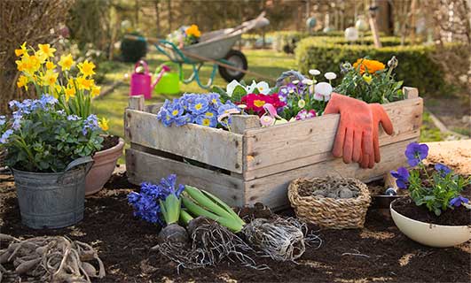 LONG GARDENING GLOVES